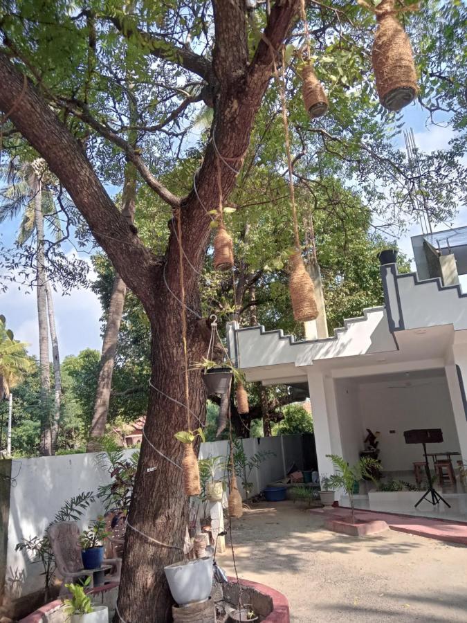 Green Star Villa Jaffna Chambre photo